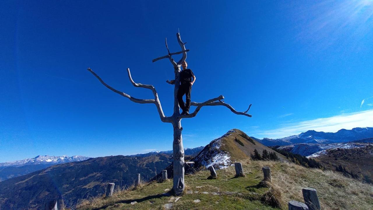 Birnbaum Chalets Grossarl Zewnętrze zdjęcie